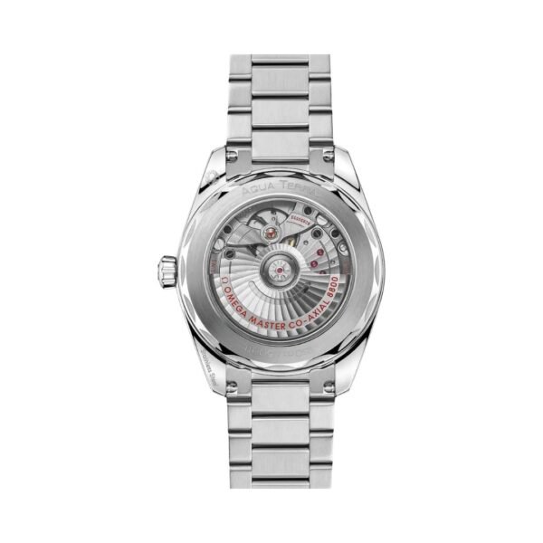 Seamaster Aqua Terra 150M - immagine 2